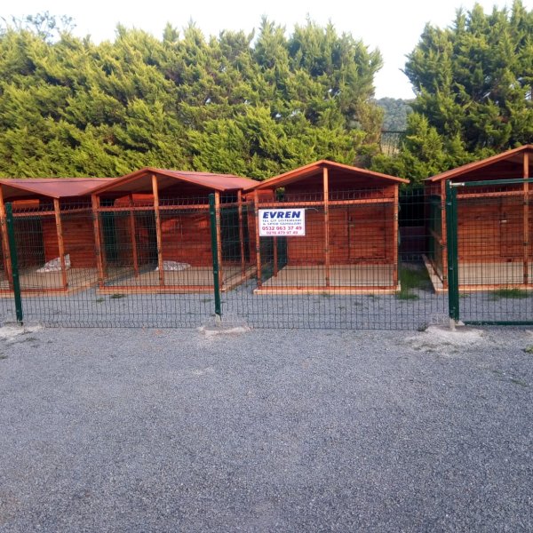 Tel Örgü Çitler